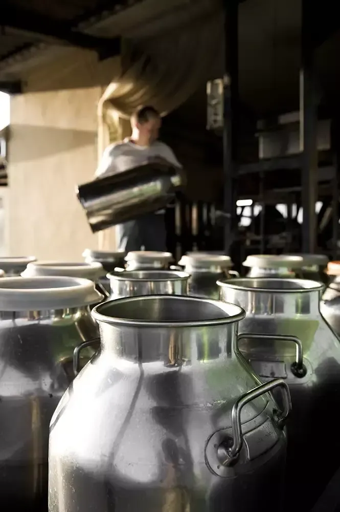 Immagine prodotto 5